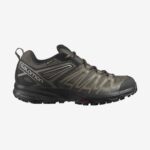 Men's Hiking Shoes X Crest Gore-Tex Wren-Black-Bungee Cord