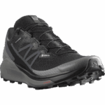 Men's Trail Running Shoes Sense Ride 4 Gore-Tex Invisible Fit Shade - Image 2