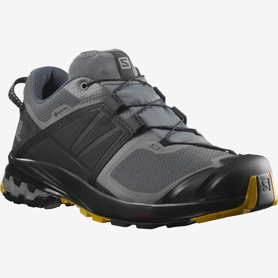 Men's Trail Running Shoes Xa Wild Gore-Tex Quiet Shade-Black-Arrowwood - Image 2