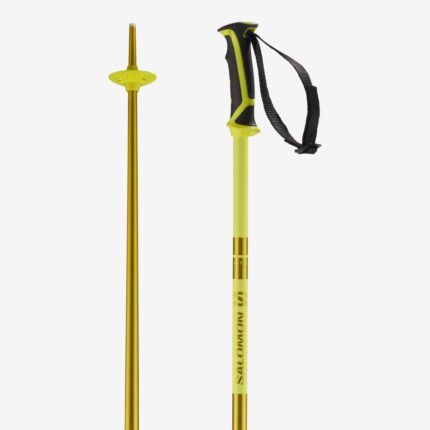 Unisex Alpine Poles Arctic Yellow