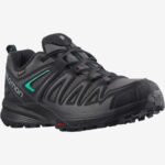 Women-Men's Hiking Shoes X Crest Gore-Tex Magnet-Black-Atlantis - Image 2