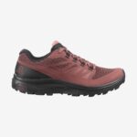 Women's Hiking Shoes Outline Gore-Tex Apple Butter-Black-Brick Dust