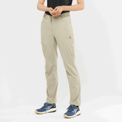 Women's Pants Wayfarer Plaza Taupe