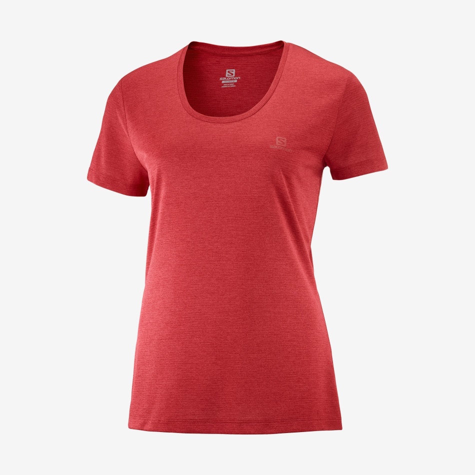 Women's Short Sleeve T-Shirt Agile Red Chili-Heather-Scarlet - Image 1