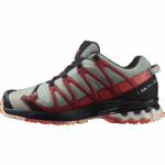 Women's Trail Running Shoes Xa Pro 3D V8 Gore-Tex Wrought Iron-Burnt Sienna-Red - Image 5